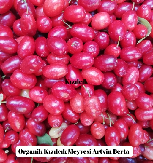 Kızılcık Pestili, Artvin Berta (Net 500 Gr)